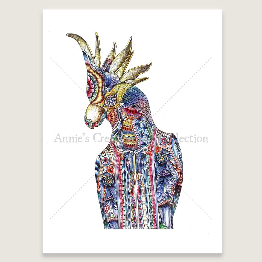 Parrot/cuckatoo