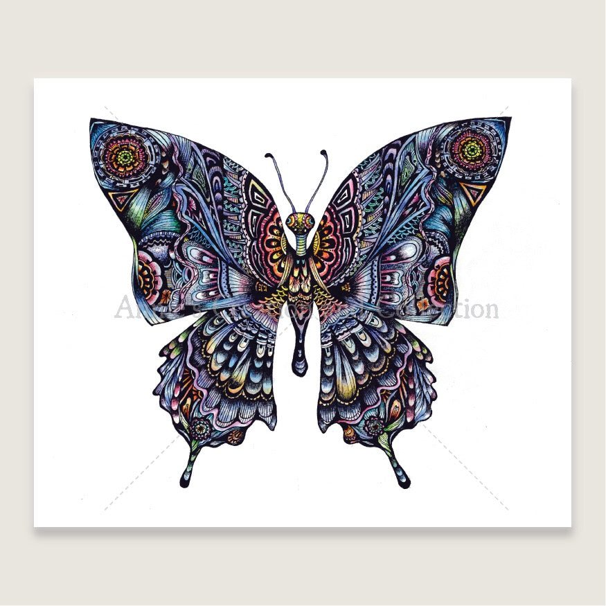 Butterfly