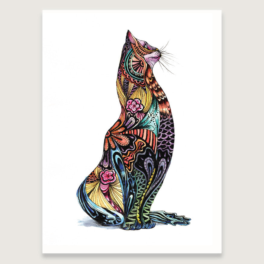 Colourful Cat