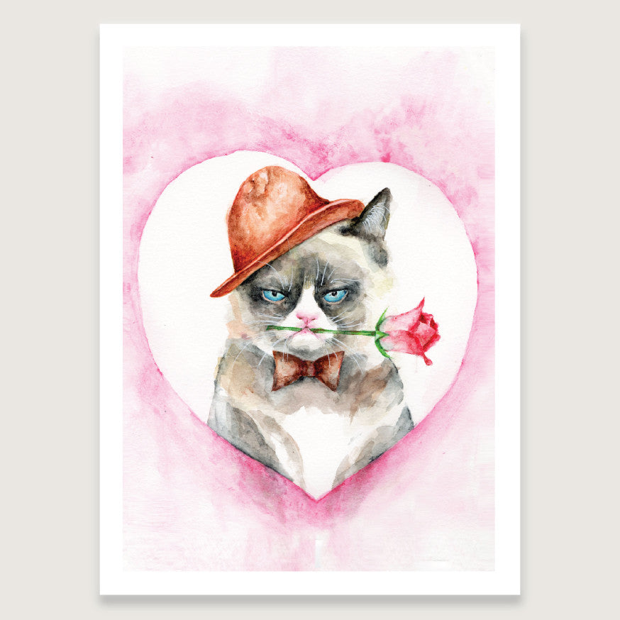 Grumpy cat