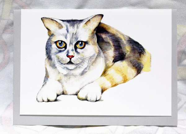 Greeting cards-Ginger cat