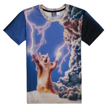 3D T-shirts-Storm Cat